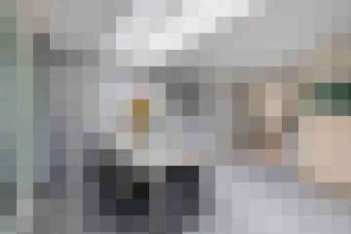 Brueghelstraat 7 Baarlo thumbnail 7