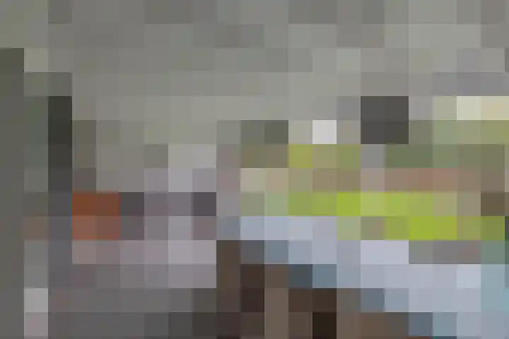 Brueghelstraat 7 Baarlo thumbnail 9
