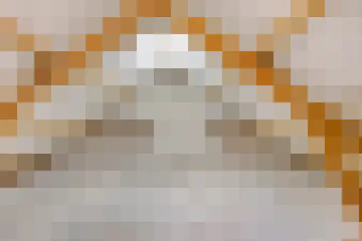 Bruëlisstraat 17 Kapelle thumbnail 29