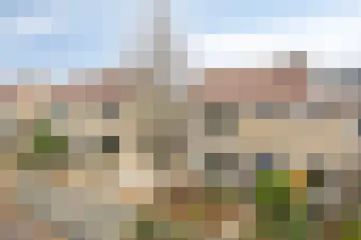 Bruëlisstraat 17 Kapelle thumbnail 31
