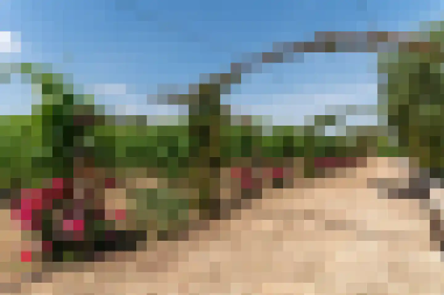 Brug 4 4 4 Muntendam thumbnail 12