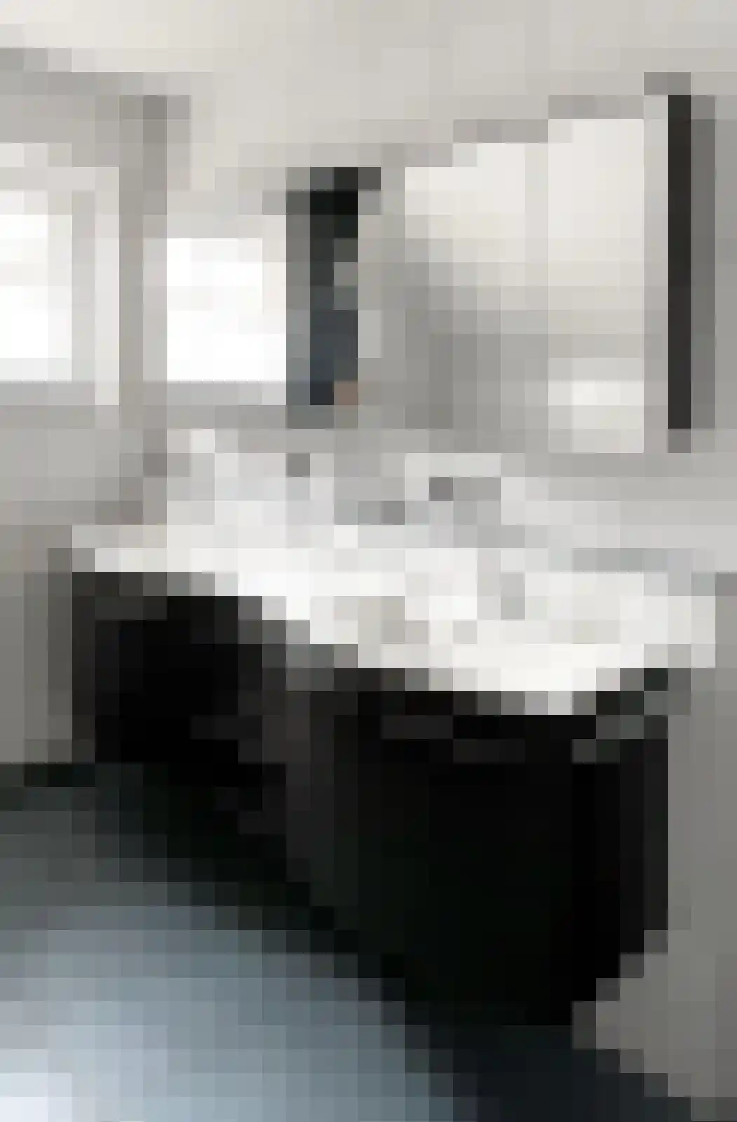 Brug 4 4 4 Muntendam thumbnail 18