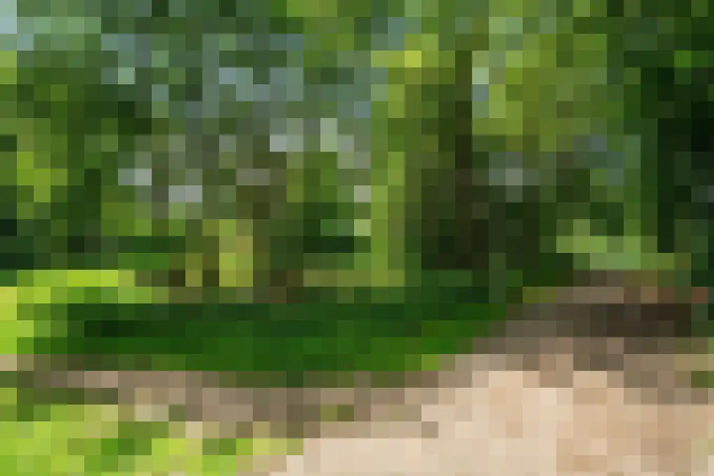 Brugakker 1071 Zeist thumbnail 25