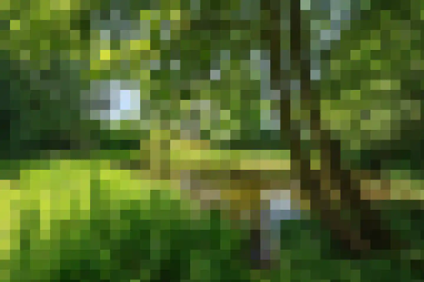 Brugakker 1071 Zeist thumbnail 26