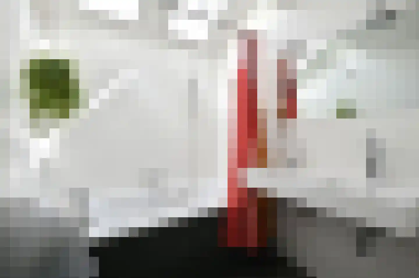 Brugakker 1073 Zeist thumbnail 14