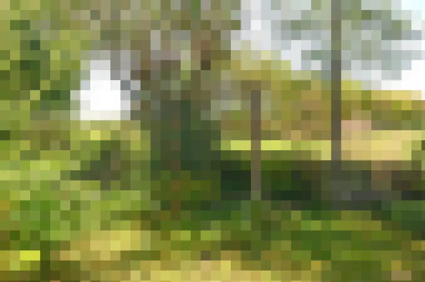Brugakker 1073 Zeist thumbnail 19