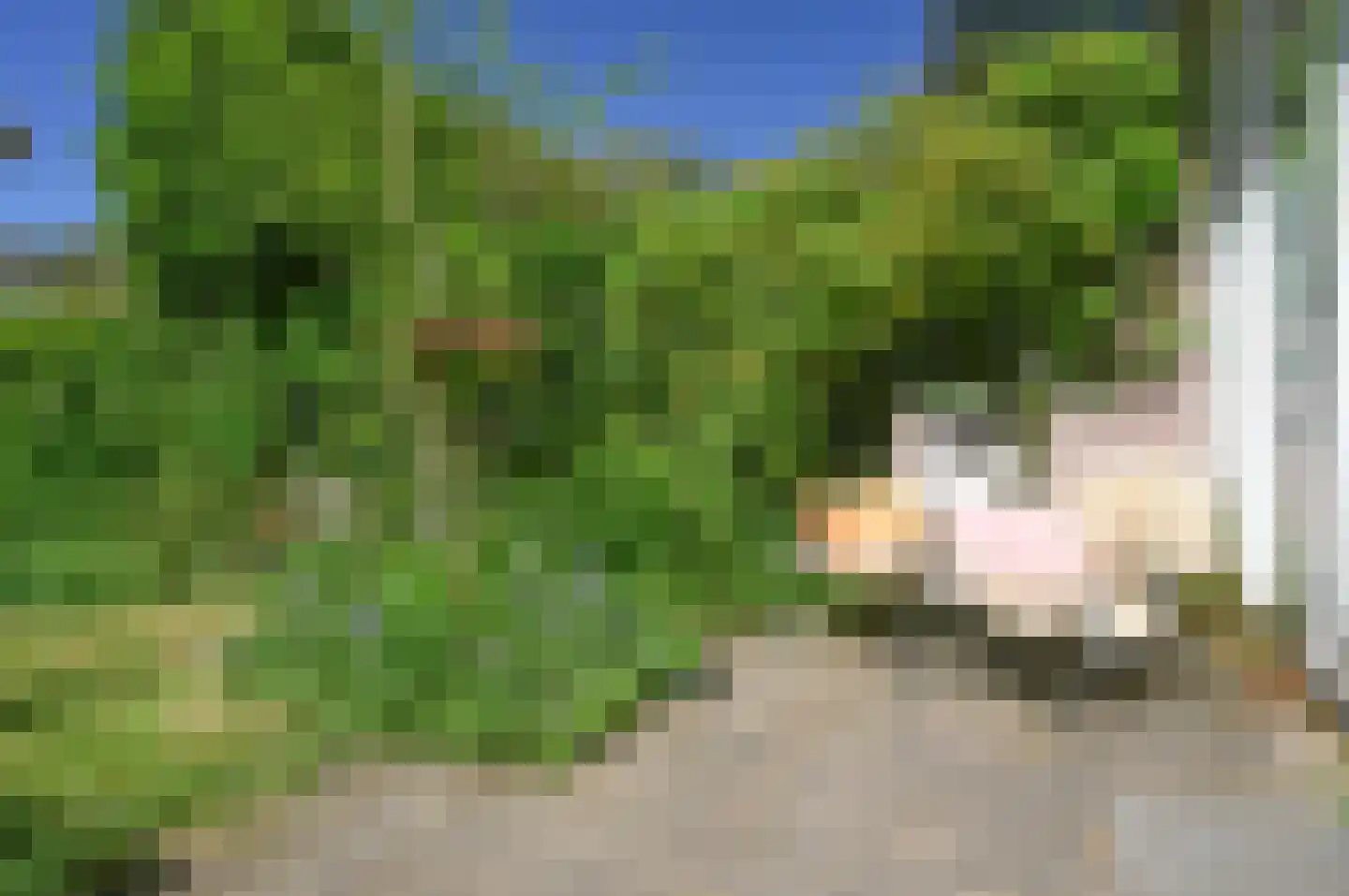 Brugakker 1073 Zeist thumbnail 21