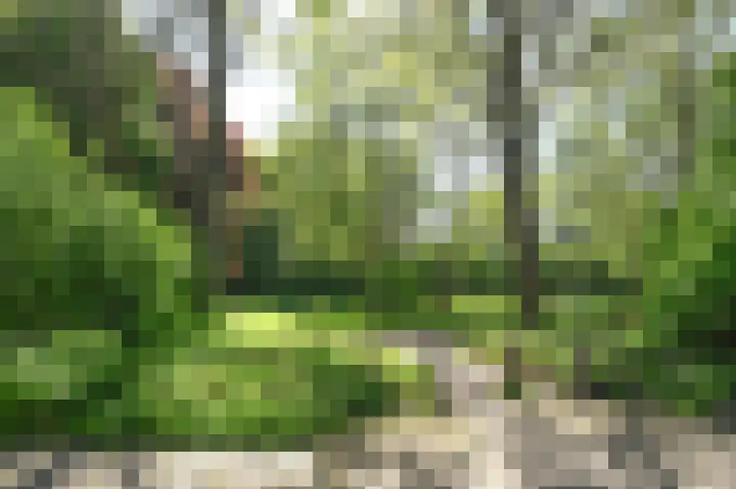 Brugakker 1073 Zeist thumbnail 24