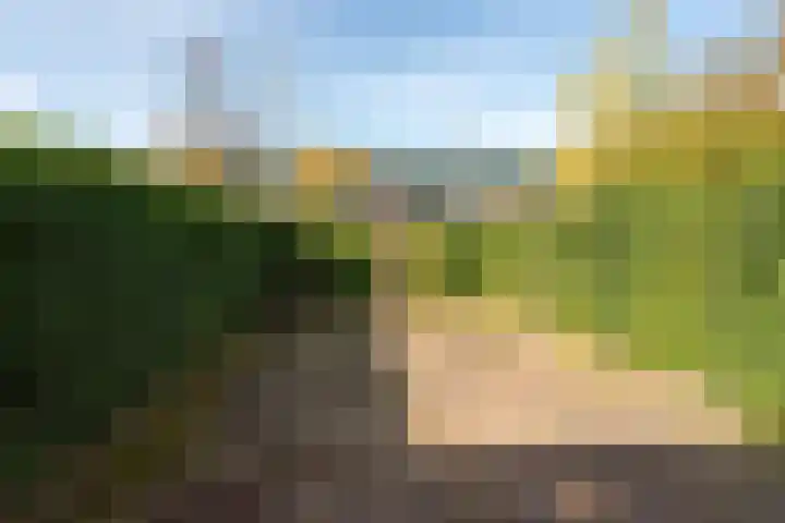 Brugakker 1416 Zeist thumbnail 19
