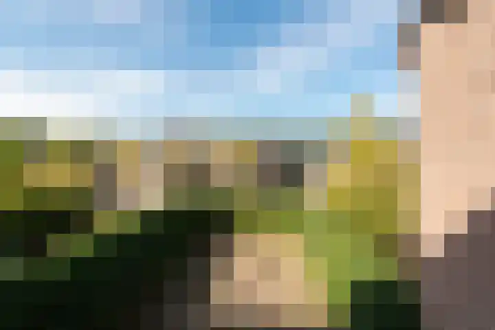 Brugakker 1416 Zeist thumbnail 28