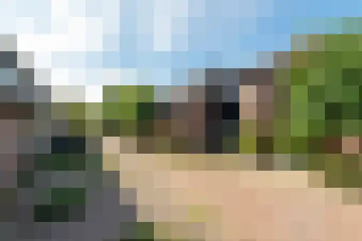 Brugakker 1416 Zeist thumbnail 4