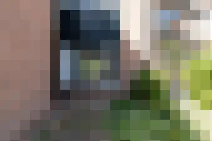 Brugakker 1416 Zeist thumbnail 5