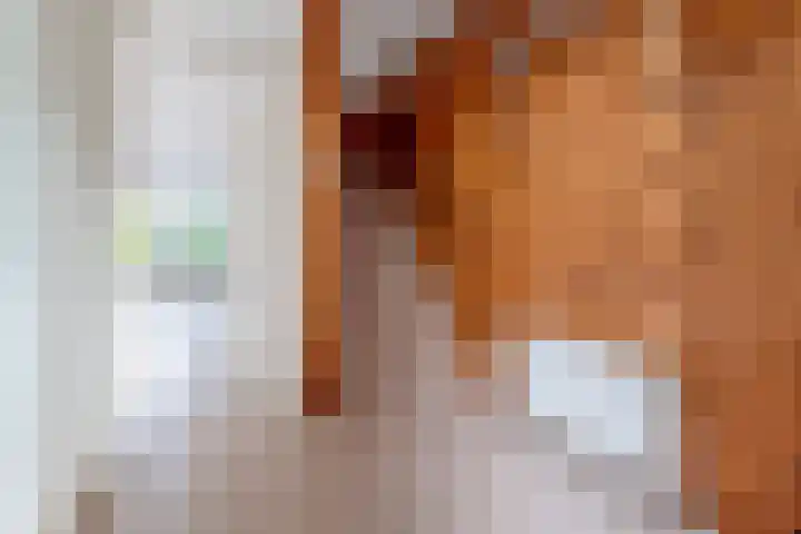 Brugakker 1517 Zeist thumbnail 11