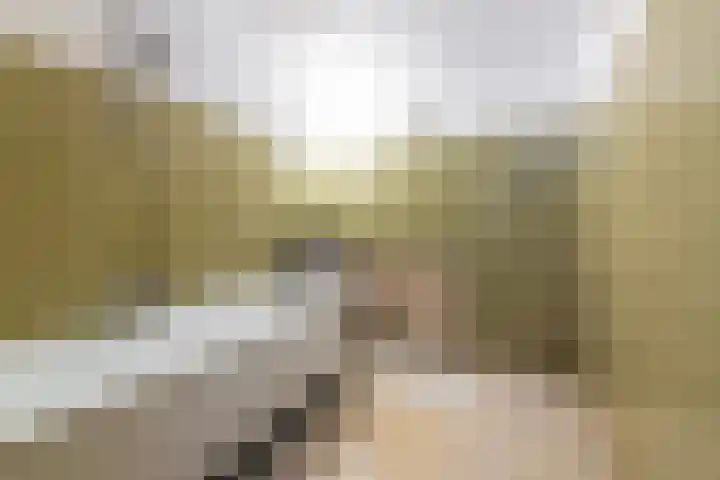 Brugakker 1517 Zeist thumbnail 16