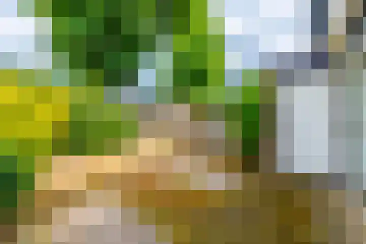 Brugakker 1517 Zeist thumbnail 19