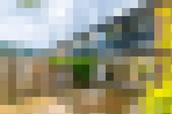 Brugakker 1517 Zeist thumbnail 21