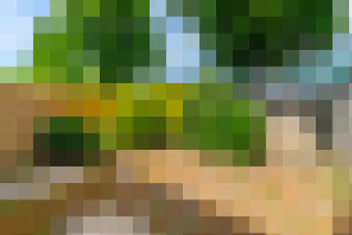 Brugakker 1517 Zeist thumbnail 22
