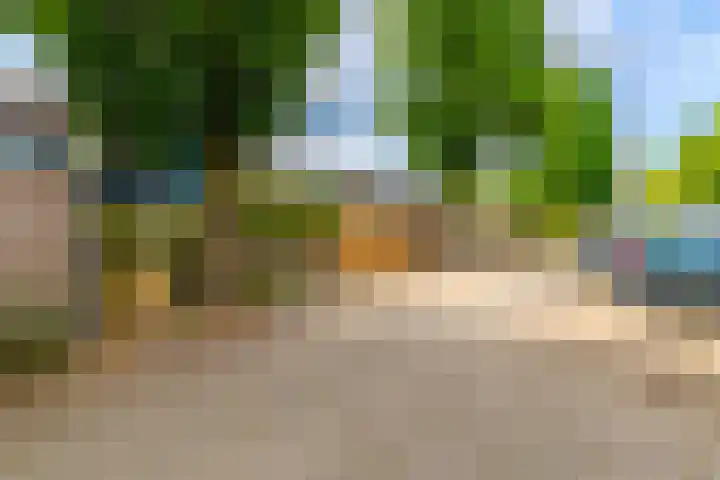 Brugakker 1517 Zeist thumbnail 23