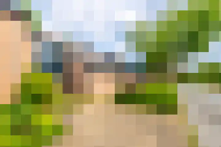 Brugakker 1517 Zeist thumbnail 25