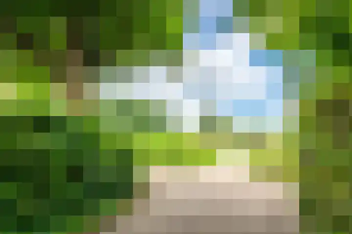 Brugakker 1517 Zeist thumbnail 27