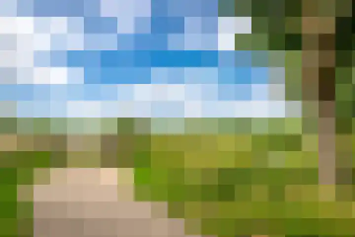 Brugakker 1517 Zeist thumbnail 28