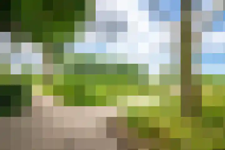 Brugakker 1517 Zeist thumbnail 29