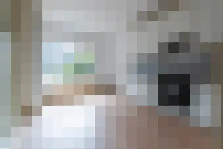 Brugakker 1517 Zeist thumbnail 7