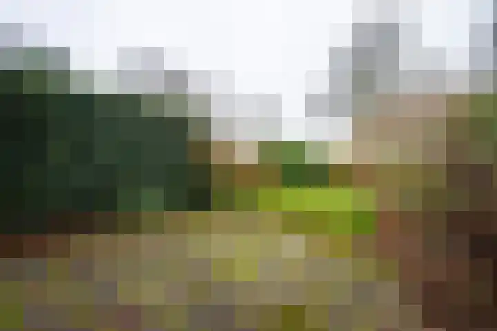 Brugakker 1605 Zeist thumbnail 23