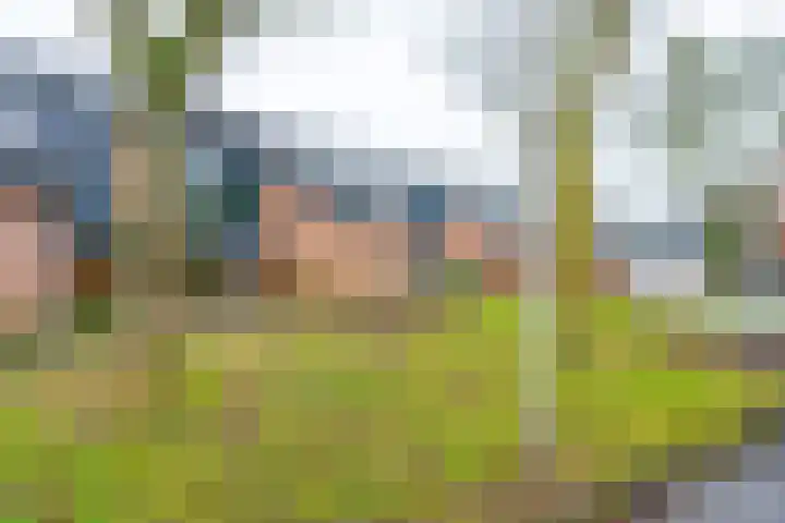 Brugakker 1605 Zeist thumbnail 27