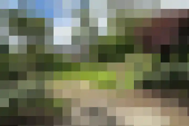 Brugakker 1702 Zeist thumbnail 22