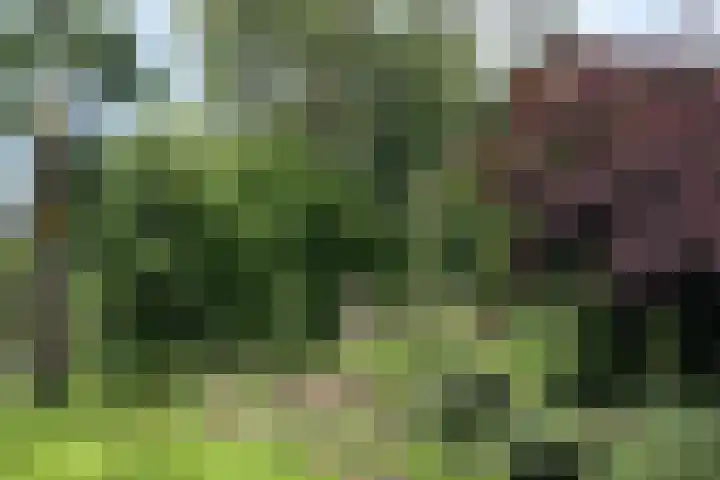 Brugakker 1702 Zeist thumbnail 23