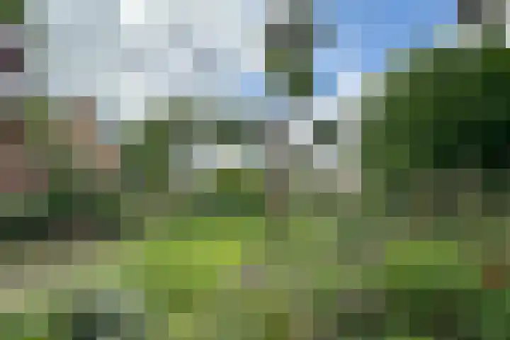 Brugakker 1702 Zeist thumbnail 25