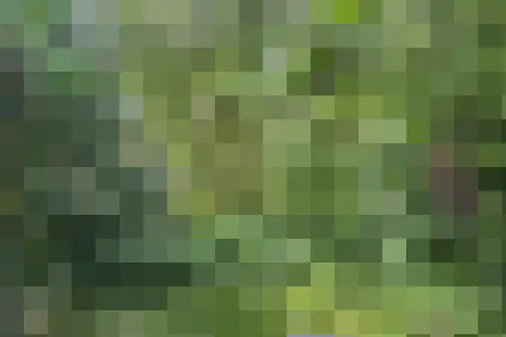 Brugakker 1702 Zeist thumbnail 26