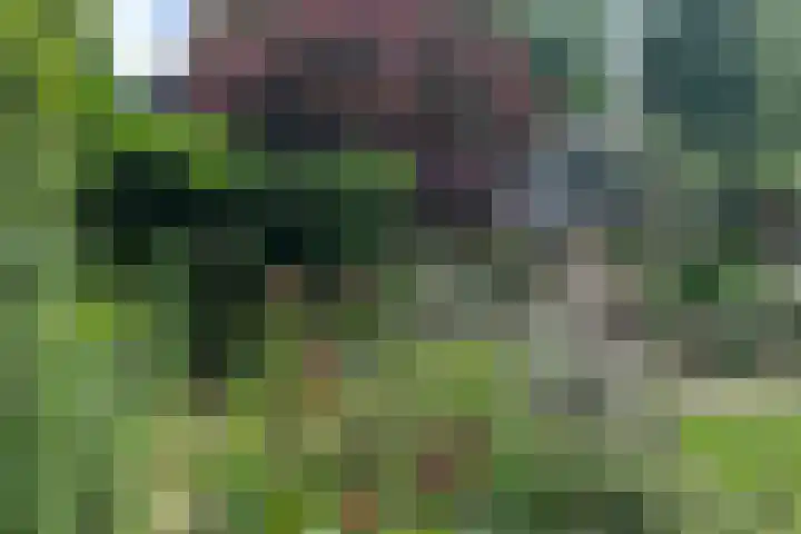 Brugakker 1702 Zeist thumbnail 27