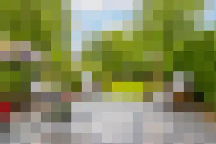 Brugakker 1708 Zeist thumbnail 12
