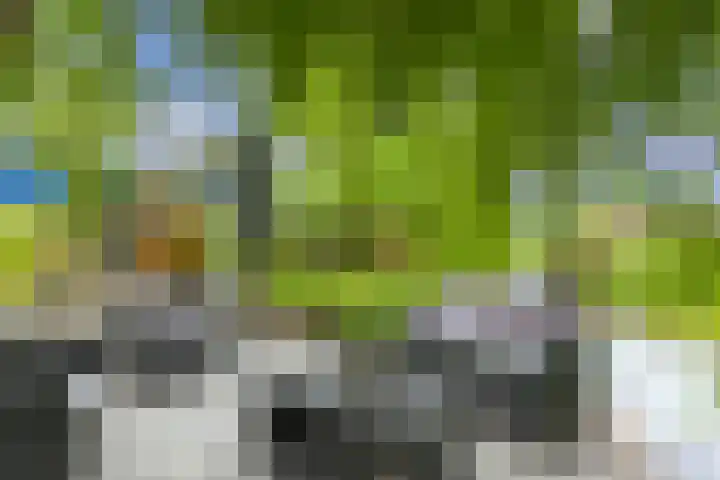 Brugakker 1708 Zeist thumbnail 16