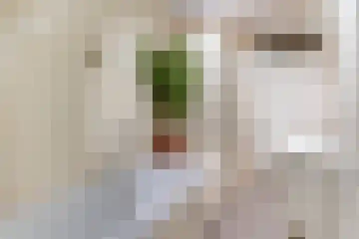 Brugakker 1708 Zeist thumbnail 27
