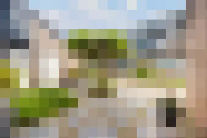 Brugakker 1708 Zeist thumbnail 33
