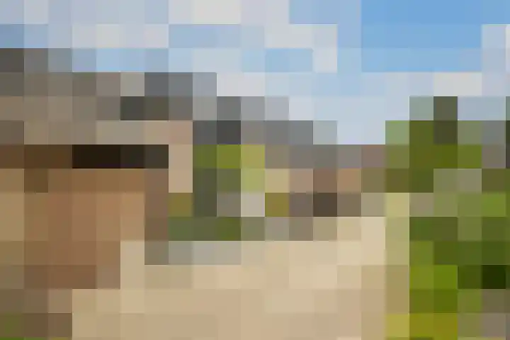Brugakker 1708 Zeist thumbnail 35