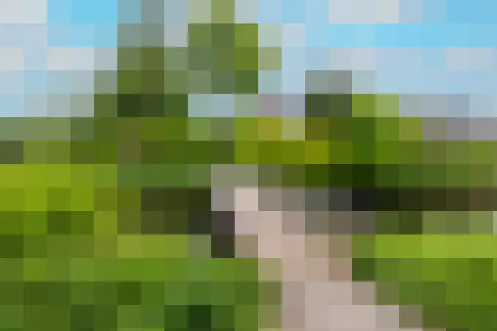 Brugakker 1708 Zeist thumbnail 37