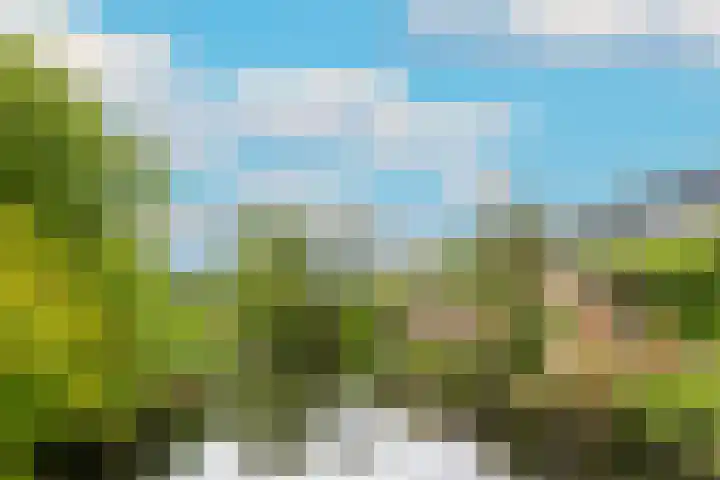 Brugakker 1708 Zeist thumbnail 38