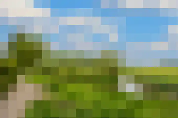 Brugakker 1708 Zeist thumbnail 39