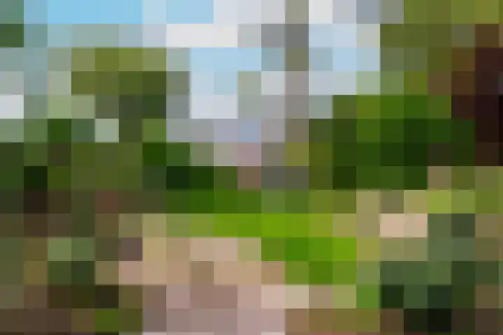 Brugakker 1708 Zeist thumbnail 40