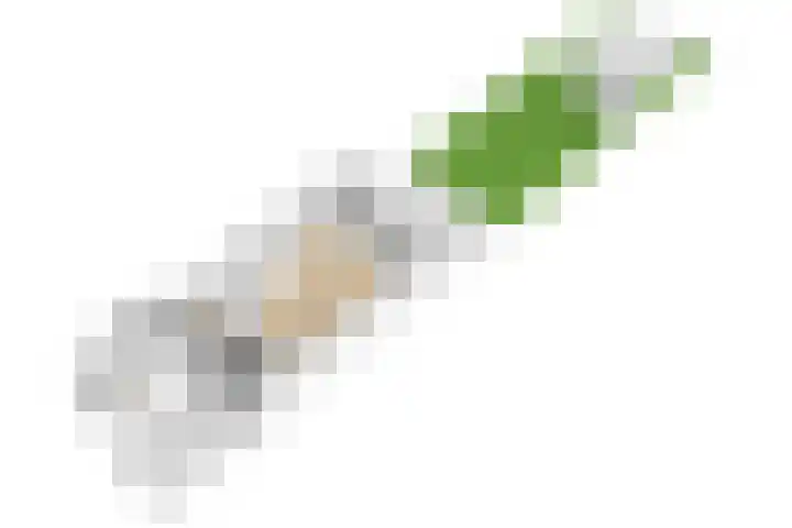 Brugakker 1708 Zeist thumbnail 48