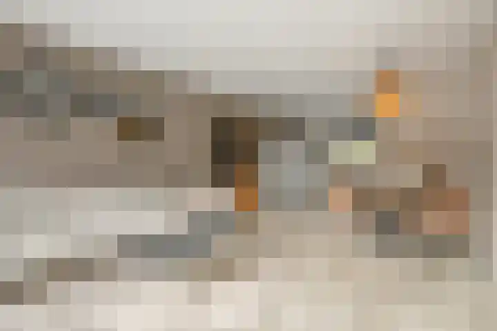 Brugakker 3608 Zeist thumbnail 10