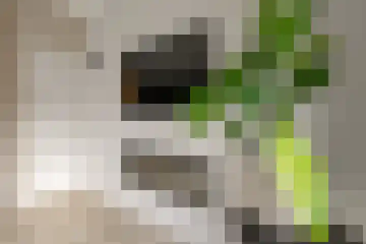 Brugakker 3608 Zeist thumbnail 12