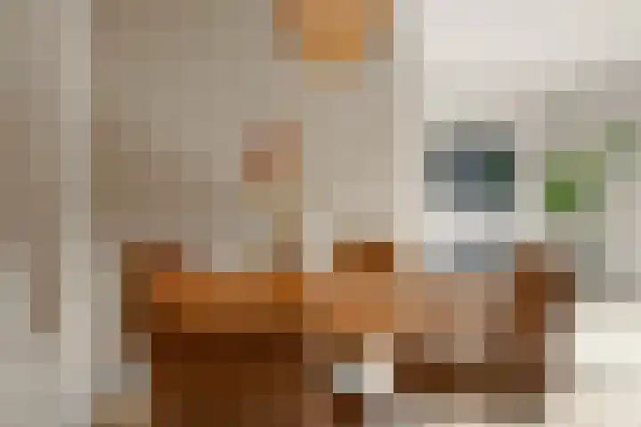 Brugakker 3608 Zeist thumbnail 13