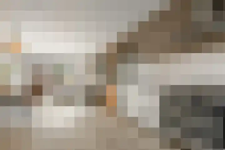 Brugakker 3608 Zeist thumbnail 15
