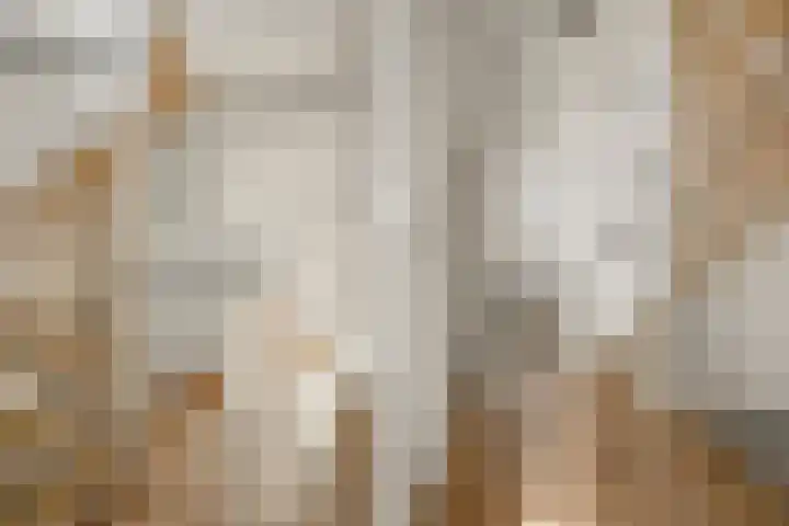 Brugakker 3608 Zeist thumbnail 16