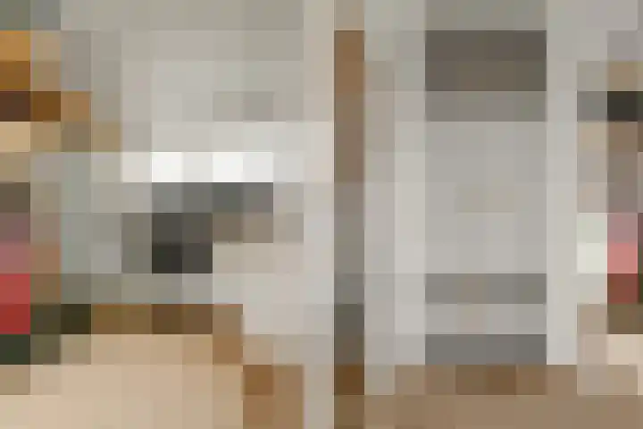 Brugakker 3608 Zeist thumbnail 17